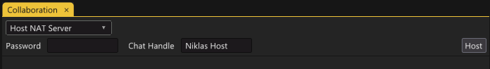 Hosting a NAT Server in the Collaboration tab.